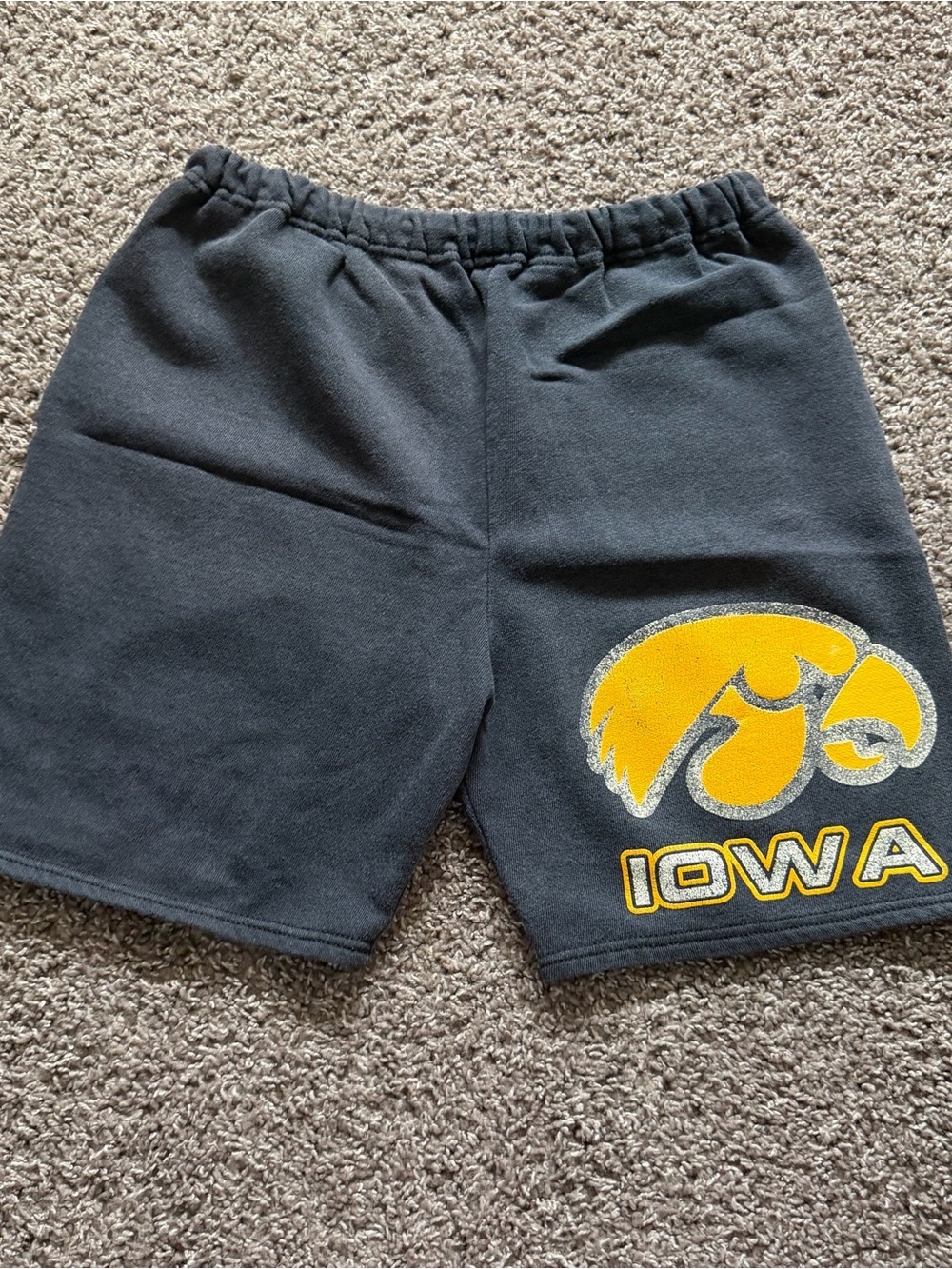 Vintage Iowa Hawkeyes Dodger USA Sweat Shorts Size L